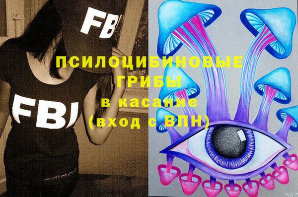 трава Аркадак