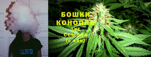 трава Аркадак