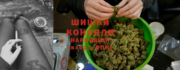 spice Арсеньев