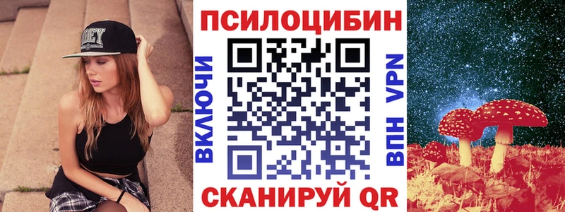 закладка Полярный Псилоцибиновые грибы MAGIC MUSHROOMS